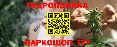 ECSTASY Моздок