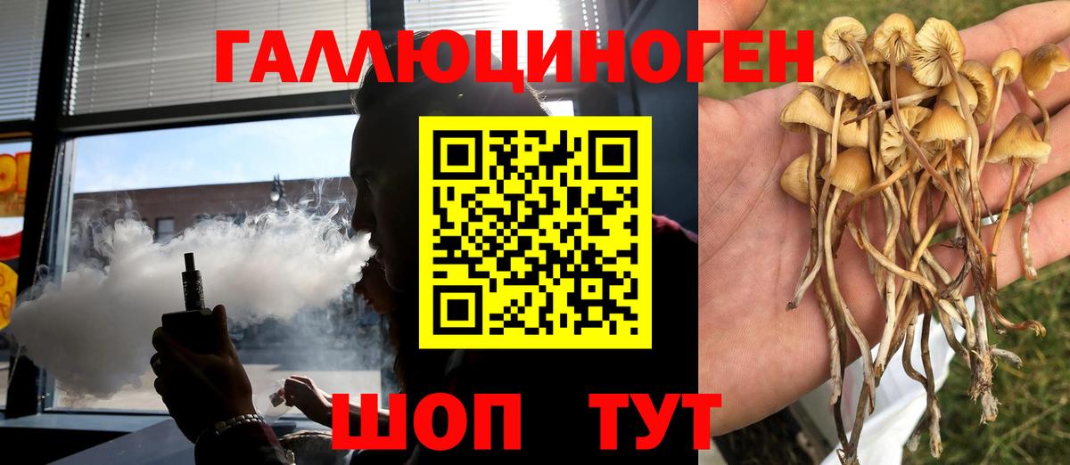 Галлюциногенные грибы Psilocybe Владикавказ